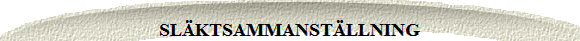 SLKTSAMMANSTLLNING