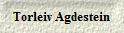 Torleiv Agdestein
