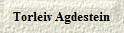 Torleiv Agdestein